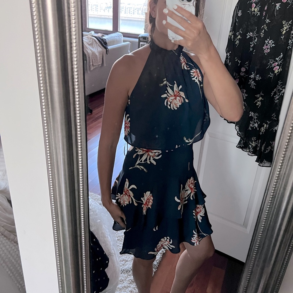 BB Dakota Garden Variety Floral Popover Dress